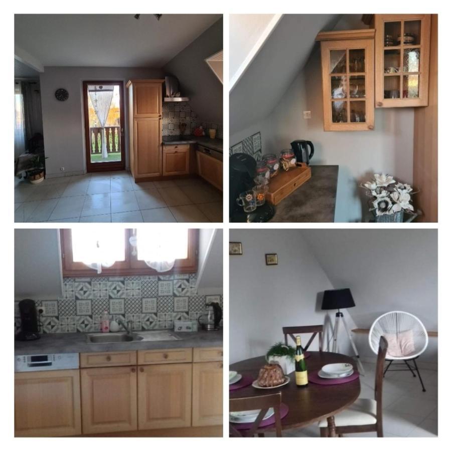 Le Gite Du Kirchfeld Mussig Extérieur photo
